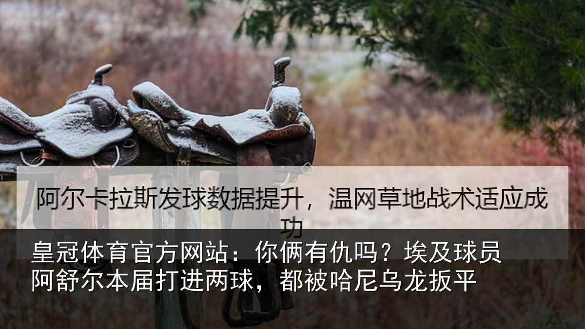 皇冠体育官方网站：你俩有仇吗？埃及球员阿舒尔本届打进两球，都被哈尼乌龙扳平