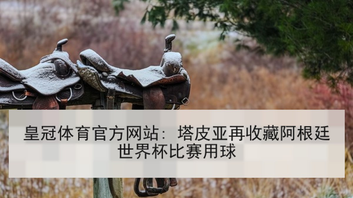 皇冠体育官方网站: 塔皮亚再收藏阿根廷世界杯比赛用球